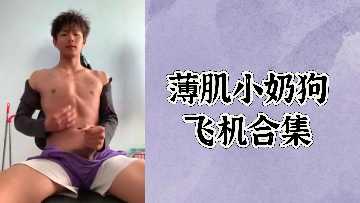 免费薄肌小奶狗飞机合集